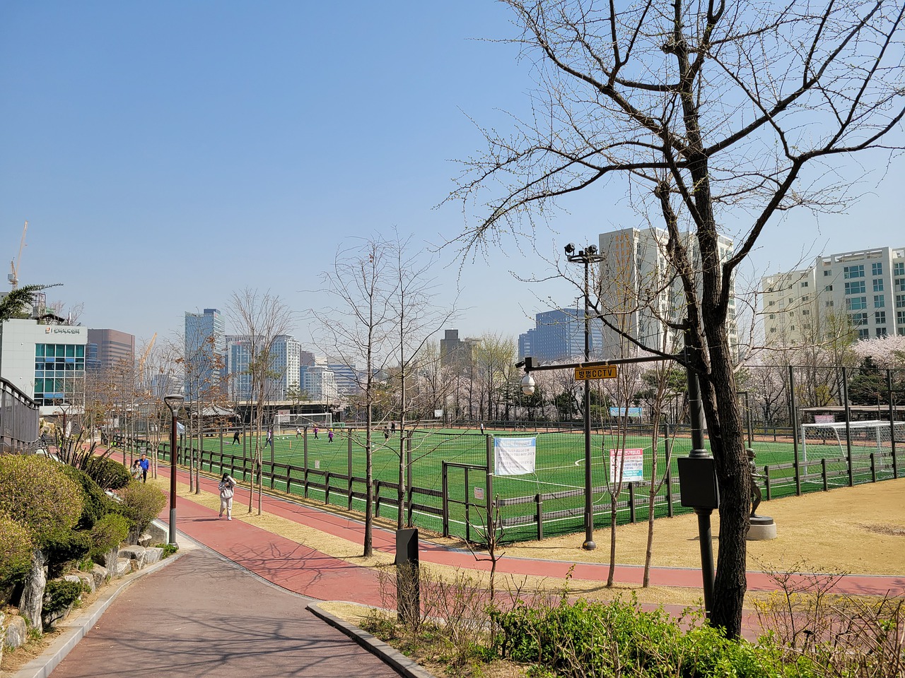 甲稳居上游